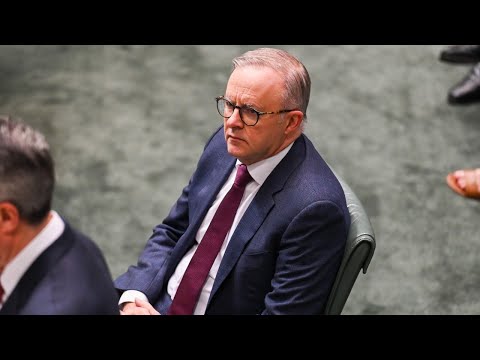 Newspoll results show Anthony Albanese is an &amp;lsquo;incompetent leader&amp;rsquo;: Sharri Markson