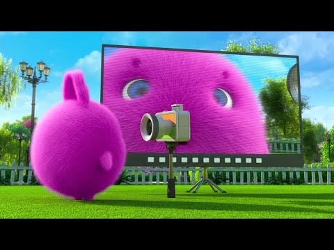 Sunny Bunnies | Boo Found A Camera | SUNNY BUNNIES COMPILATION | Cartoons for Children