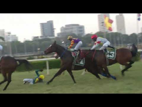 Mumbai Horse Full Race 2019 at Mahalaxmi Race Course | 