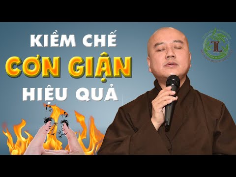 L&agrave;m sao kiềm chế được Cơn N&oacute;ng Giận - Vấn đ&aacute;p Thầy Th&iacute;ch Ph&aacute;p H&ograve;a (rất hay)