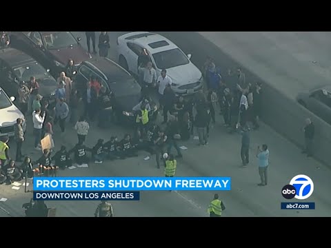 Protest on 110 Freeway: Demonstrators in Los Angeles demand Gaza cease-fire