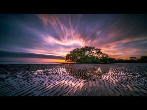 Melodic Progressive House mix Vol 100 (Flashback)