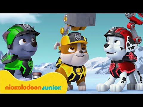 PAW Patrol : La Pat' Patrouille | Les meilleures missions avec Sweetie ! | Nickelodeon Jr. France