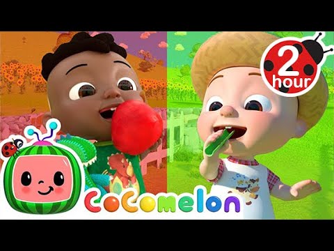 Fruits Vs. Vegetables Song! | CoComelon Kids Songs &amp;amp; Nursery Rhymes