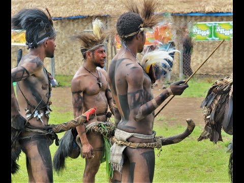 Traditional Penis Gourds Worn by Tribal Dancers in Papua New Guinea