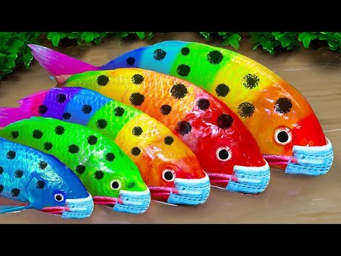 Colorful surprise eggs, lobster, snake, cichlid, betta fish, turtle, butterfly fish, jelly fish