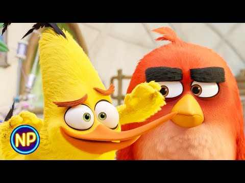 Getting the Team Back Together | The Angry Birds Movie 2