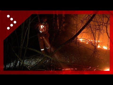 Incendio nei boschi sopra Lanzo Torinese, squadre antincendio al lavoro tra la vegetazione