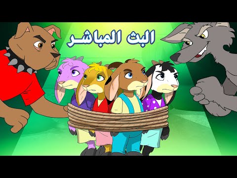 حكايات عربية - البث المباشر - كوندوسان عربي