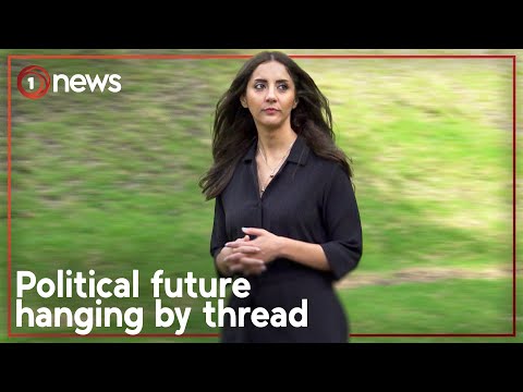 Embattled Green MP returns to New Zealand amid uncertain future | 1News