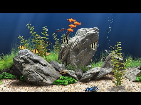 Dream Aquarium Screensaver 4K UHD