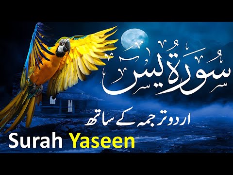 Surah Yasin ( Yaseen ) with Urdu Tarjuma | Quran tilawat | Episode 0016| Quran with Urdu Translation