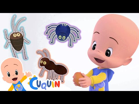 Learn with Cuquin and the Surpise eggs insects | Educational videos