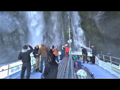 New Zealand Road Trip: Milford Sound Cruise. Sunshine. Wildlife. Waterfalls.