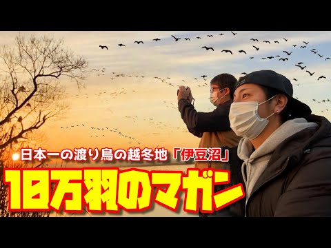 【宮城県の絶景】絶対行くべき！初日の出おすすめスポット【伊豆沼・内沼】