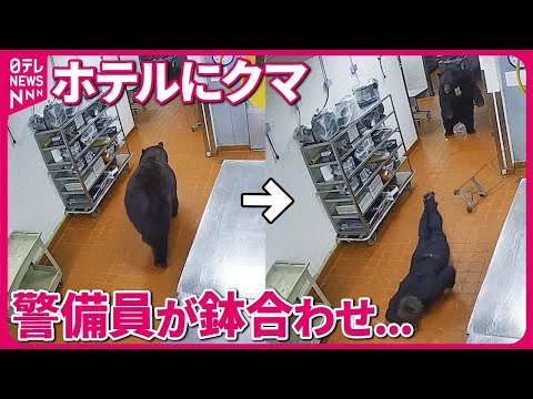 【まさか】ホテルにクマ出没　警備員が鉢合わせ　背中をはたかれ&hellip;ぶっ飛ばされ　アメリカ・コロラド州