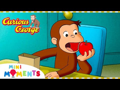 Curious George | George Helps Out! | 1 Hour | Mini Moments