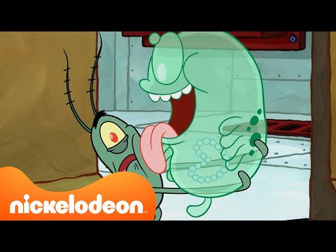 SpongeBob hilft Plankton mit seinen WELPEN 🐶 | Nickelodeon Deutschland