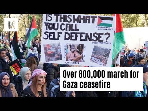 Over 800,000 protest for Gaza ceasefire in one of the largest political protests in British history