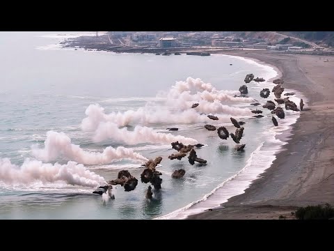 La Cam&eacute;ra du Drone A Film&eacute; Quelque Chose d'Incroyable