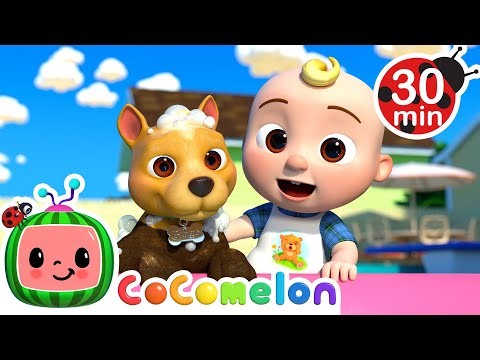 Bingo's Bath Song | CoComelon Nursery Rhymes &amp; Kids Songs