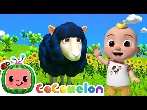 Baa Baa Black Sheep! | CoComelon Animal Time | Animals for Kids