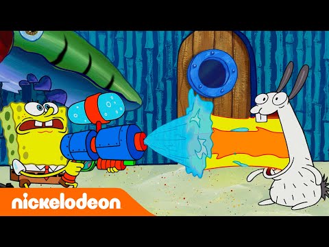 SpongeBob Schwammkopf | SpongeBobs neues Haustier! | Nickelodeon Deutschland