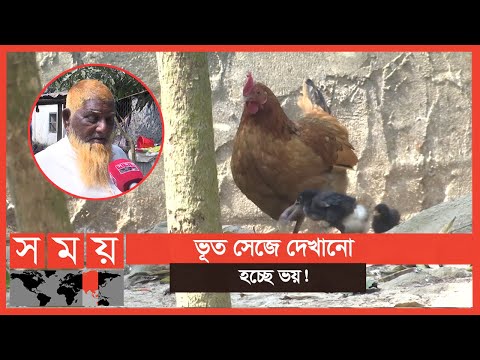 মুরগি নিয়ে মামলা! আসামি ৭০ বছরের বৃদ্ধ | Somoy Exclusive | Somoy TV