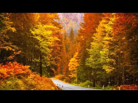 Beautiful Relaxing Music - Soothing Autumn Melodies, Mindful and Peaceful Piano Instrumental Music