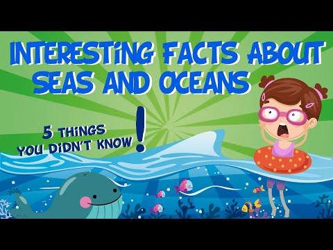 Interesting Facts About Seas and Oceans | Educational Video for Kids