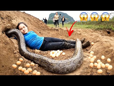 IMPOSSIBLE! Giant SNAKE Lay Eggs Hunters Saving Girl | MIKE FISHING