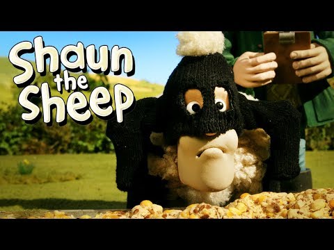 Wanted | Shaun the Sheep Season 5 | Full Episode