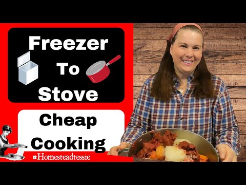 Penny Struggle Meal ~From Freezer to Dinner Plate