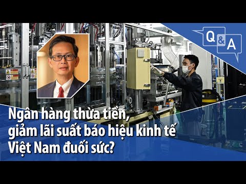 Ng&acirc;n h&agrave;ng thừa tiền, giảm l&atilde;i suất b&aacute;o hiện kinh tế Việt Nam đuối sức?