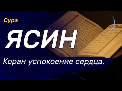 Ясин на всю ночь. Включайте на всю ночь, красивое и спокойное чтение корана.