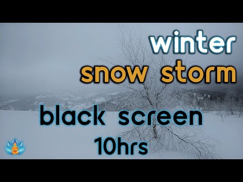 [Black Screen] Winter Storm: Blizzard Ambience: Howling Wind: Winter / Storm | 10Hrs