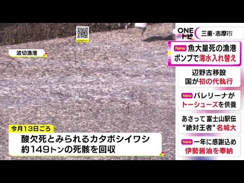 港内の海水は酸素濃度依然低く&hellip;&ldquo;酸欠死&rdquo;とみられる魚の死骸が大量に打ち上げられた漁港 海水の入替続く