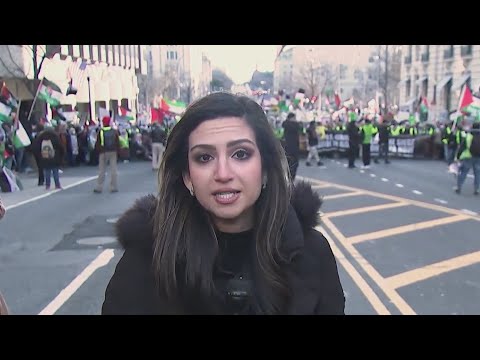 Thousands 'march for Gaza,' calling for cease-fire in Washington | NewsNation Prime