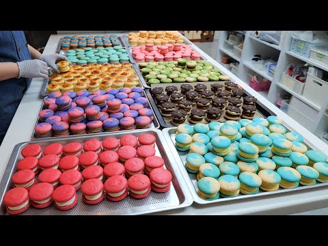 handmade make a variety of macaroons / 주3일 매주완판! 1,500원짜리 다양한 마카롱 / korean street food