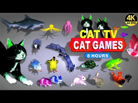 CAT GAMES | THE MOST FAVORITE MOVIE FOR CATS TO WATCH | CAT TV COMPILATION 4K 8 -HOURS | 🐱