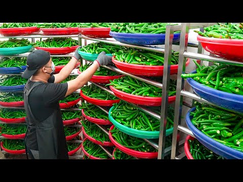 Peeled Chili Pepper Processing, Omakase Menu Dishes / 剝皮辣椒加工廠, 剝皮辣椒無菜單料理 - Taiwanese Food