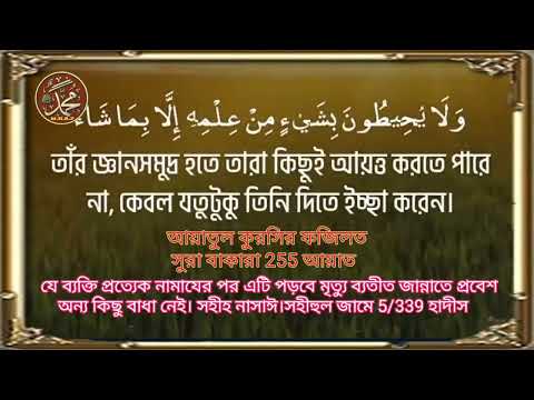 এমন একটি আয়াত প্রত্যেক নামাযের পর পড়লে মৃত্যু ছাড়া জান্নাতে প্রবেশে কোন বাধা নাই