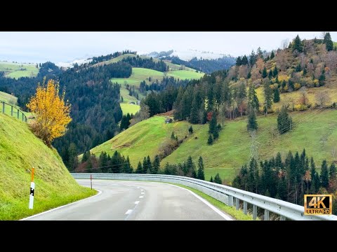 🍁 Orange and Gold Beautiful Autumn in Switzerland 🇨🇭 Spectacular Swiss Autumn Colors | 