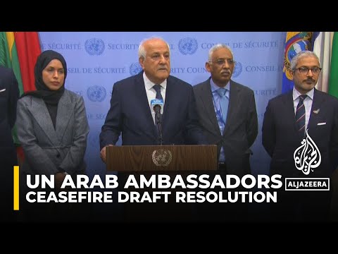 UN needs to act quickly on ceasefire draft resolution: Riyad Mansour