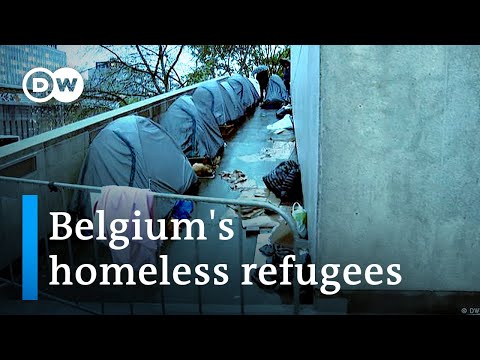 Refugees are forced to sleep on the street in Belgium | Focus on Europe