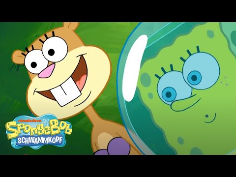 SpongeBob | Plankton &amp; Sandy werden beste Freunde 👁🐿 | SpongeBob Schwammkopf