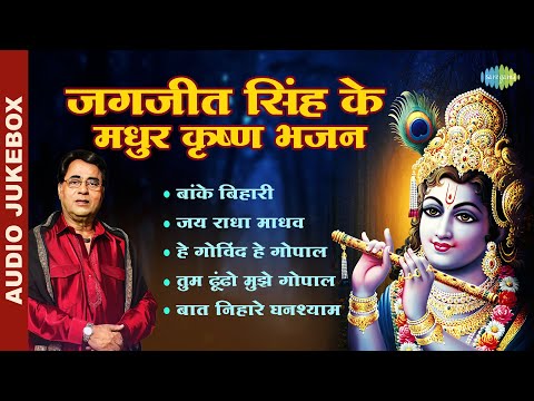 जगजीत सिंह के मधुर कृष्ण भजन | Hey Gobind Hey Gopal | Jai Radha Madhav | Tum Dhondho Mujhe Gopal