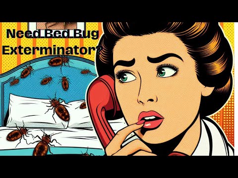 How to Choose a Bed Bug Exterminator