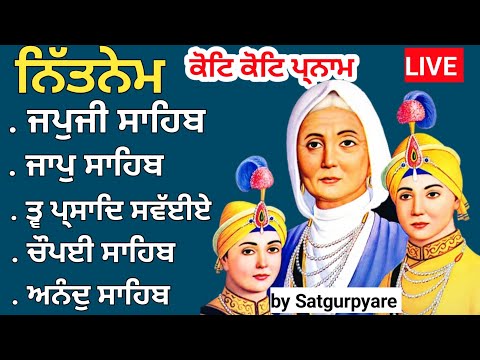 ਨਿੱਕੀਆਂ ਜਿੰਦਾਂ ਵੱਡੇ ਸਾਕੇ | Nitnem Panj bania |ਨਿਤਨੇਮ ਪੰਜ ਬਾਣੀਆ |Nitnem | ਨਿਤਨੇਮ |नितनेम  satgurpyare