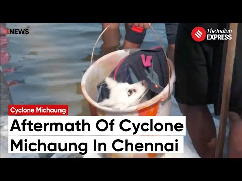 Cyclone Michaung: Chennai Grapples with Devastation, Heavy Rainfall Causes Havoc In Tamil Nadu